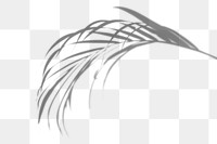 Palm leaves shadow design element