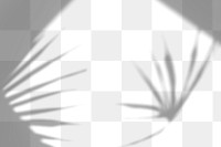 Shadow of leaves design element