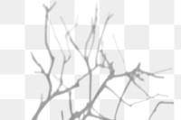 Dried branch shade design element