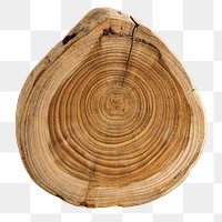 Single chopped wood slice design resource