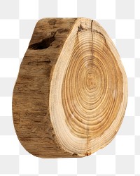 Single chopped wood slice design element