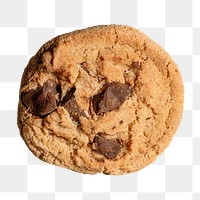 Single chocolate chip cookie closeup
