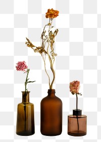 Dried flowers in brown glass vases design element