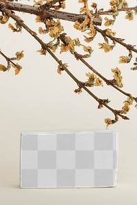Dried Forsythia branch with a card mockup on a beige background