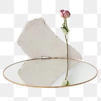 Dried rose by a round mirror design element
