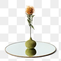Orange pincushion Protea in a round green vase on a shiny tray design element