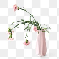 Withered pink carnation in a pink vase design element
