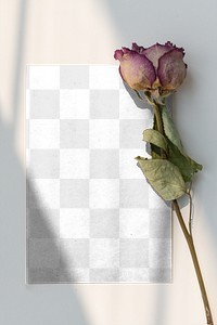 Dried pink rose with a card mockup
