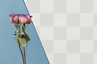 Dried pink roses on a blue background template