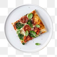 Fresh homemade pizza design element