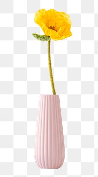 Yellow in a pink vase design element