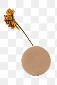 Dried flower in a brown round vase