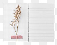 Dried flower on a blank lined notebook design element