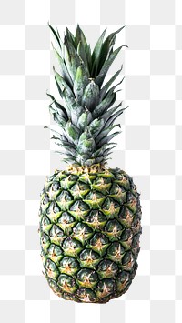 Single pineapple fruit png transparent