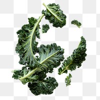 Kale png transparent background