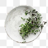 Png fresh thyme leaves on plate