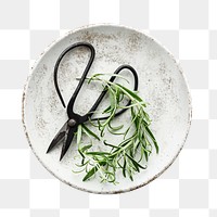 Png rosemary leaves flat lay food photography