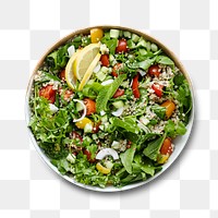 Quinoa salad plate png transparent background flat lay style