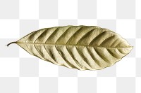 Leaf painted in gold design element