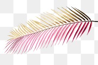 Areca palm leaf painted in gold and magenta design element