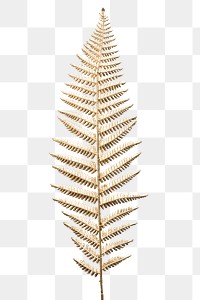 Golden leatherleaf fern plant design element