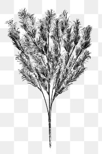 Artificial silver fern leaves design element