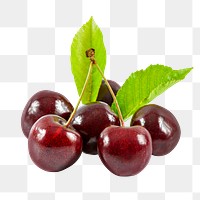 Red cherries png clipart, organic fruit on transparent background