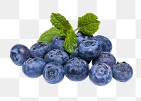 Blueberry fruit png clipart, healthy food on transparent background