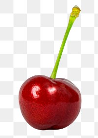 Red cherry png clipart, organic fruit on transparent background