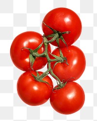 Tomato bunch png clipart, fresh vegetable on transparent background