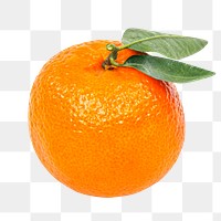 Orange png clipart, citrus fruit on transparent background