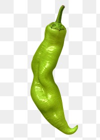 Green chili png pepper clipart, fresh vegetable