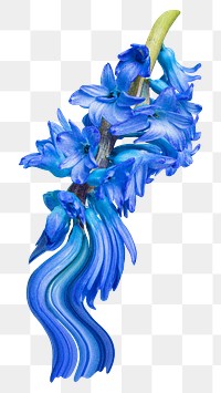 Flower PNG delphinium sticker, pastel blue trippy psychedelic art