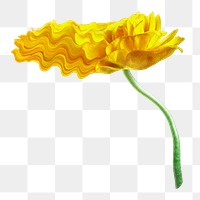 Yellow flower PNG sticker, colorful buttercup trippy psychedelic art