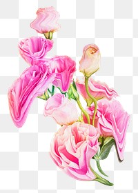 Rose PNG flower sticker, pink trippy psychedelic art