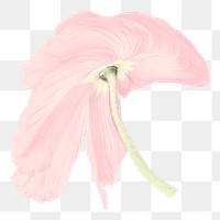Poppy PNG flower sticker, pastel pink trippy psychedelic art