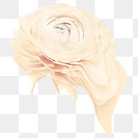 Beige flower PNG sticker, pastel buttercup trippy psychedelic art