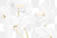 Floral background PNG, white flower trippy abstract design