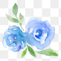 Blue png rose flower watercolor spring seasonal graphic