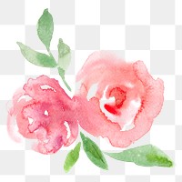 Pink png rose flower watercolor spring seasonal graphic