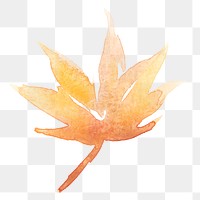 Maple png leaf autumn watercolor in orange seasonal graphic