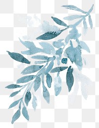 Aesthetic png blue leaf watercolor winter seasonal graphic
