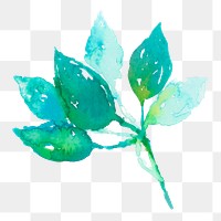 Watercolor png leaf green floral spring seasonal graphic