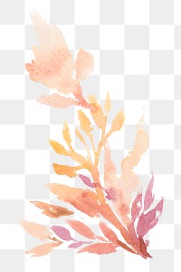 Watercolor png leaf orange floral autumn seasonal graphic