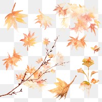 Autumn png leaves set watercolor orange seasonal graphic
