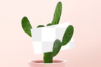 Business card mockup transparent on cactus 
