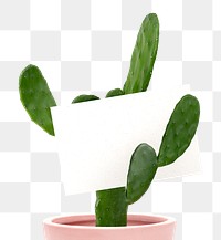 Png blank business card and cactus with  transparent background