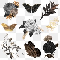 Flower png set, black design, remixed from vintage public domain images