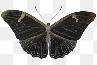Butterfly png cut out, black sticker