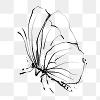 Png butterfly sticker, aesthetic line art illustration, remixed from vintage public domain images